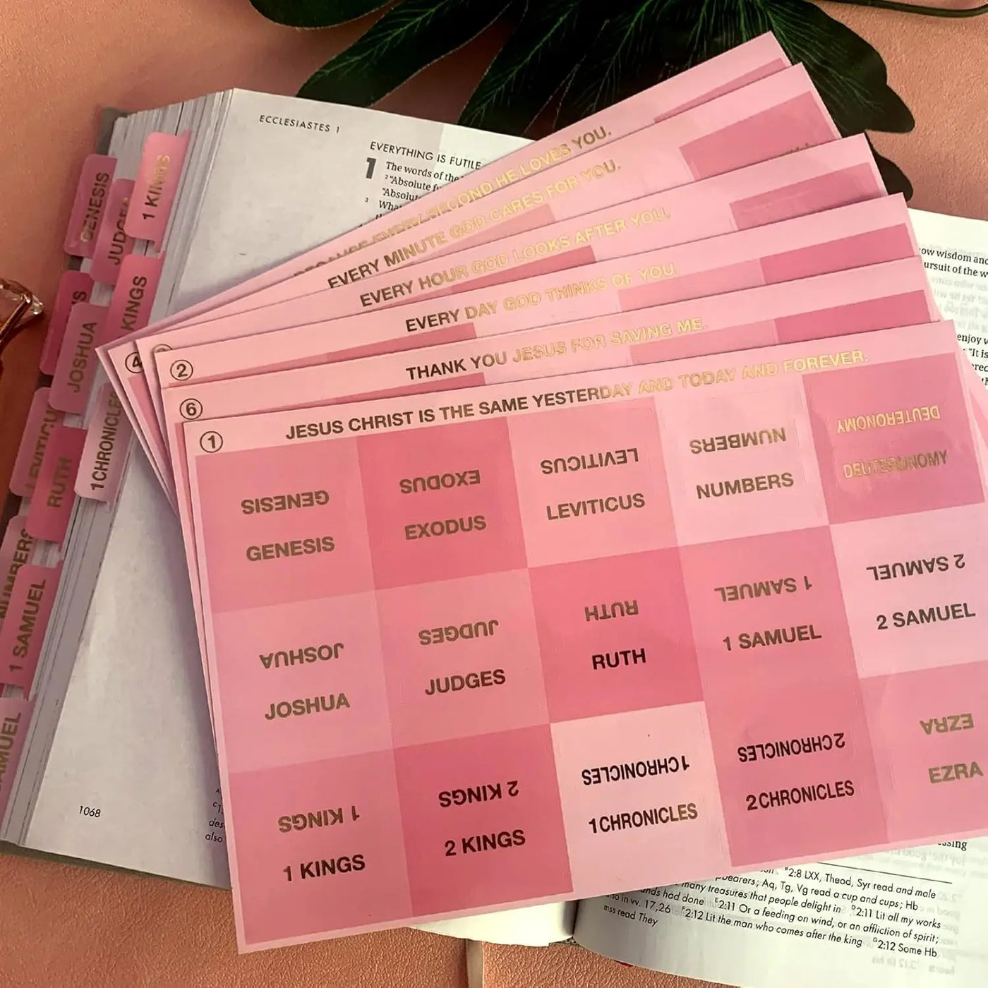 Pink Bible Tabs Large Print Laminated Bible Tabs for Women and Men Easy to Read Bible Book Tabs for Study Bible Index Tabs