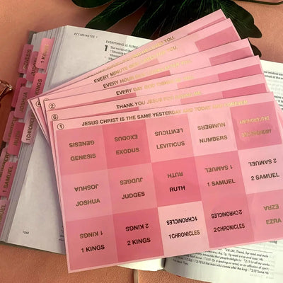 Pink Bible Tabs Large Print Laminated Bible Tabs for Women and Men Easy to Read Bible Book Tabs for Study Bible Index Tabs